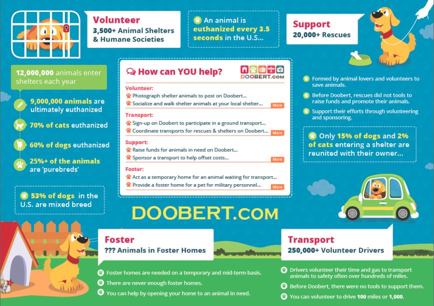 Doobert.com Infographic
