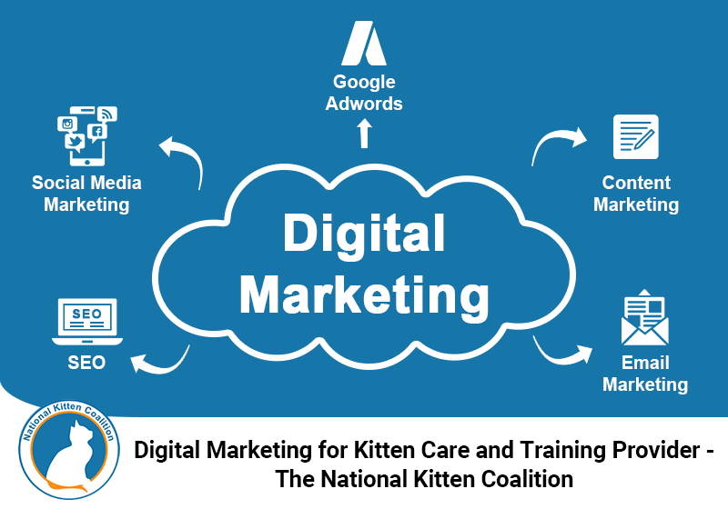 Digital Marketing for Kitten Care
