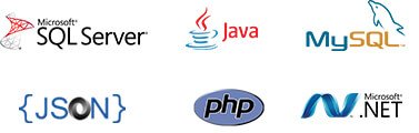 Web Application Development | Web App Development Company - Pulse Solutions