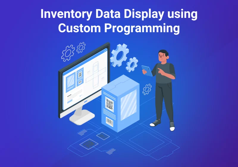Inventory Data Display using Custom Programming